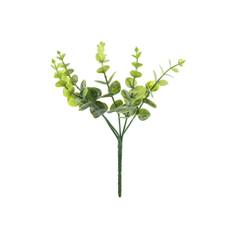 Gałązka Eukaliptus, 27 cm