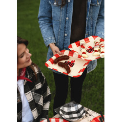 Talerzyki papierowe BBQ, mix, 26x26cm (1 op. / 6 szt.)