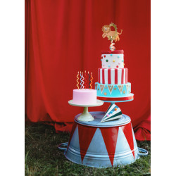 Topper na tort Lew, 16 x 16 cm, mix