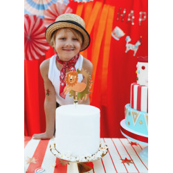 Topper na tort Lew, 16 x 16 cm, mix