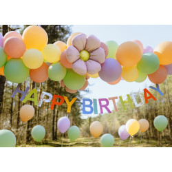 Baner Happy Birthday, 2.2m, mix