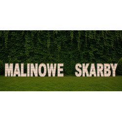 Żarówkowe litery LED cały alfabet - wypożyczenie