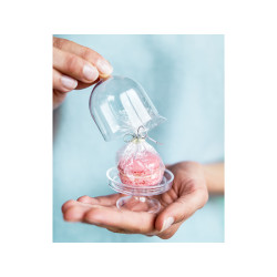 Pudełeczka Patera, bezbarwny, 5,5x7,5cm (1 op. / 3 szt.)