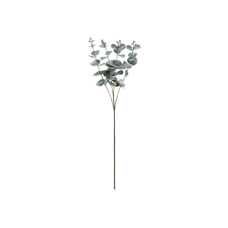 Gałązka Eukaliptus, 60 cm